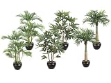Pack of 6 Potted Artificial Table Top Mini Tropical Palm Trees