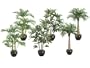 Pack of 6 Potted Artificial Table Top Mini Tropical Palm Trees