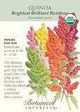 Organic Brightest Brilliant Rainbow Quinoa Seeds-500mg
