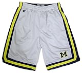 Michigan Wolverines Men's Transition Shorts