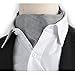 Stylefad Men's Mirofiber Cravat Ascot Self Tie