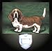 Basset Hound Decorative Night Light