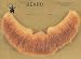 2024 Human Hair Beard