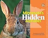 Minnesota's hidden alphabet