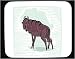 Mouse Pad with buffalo, bison, mammal, animal