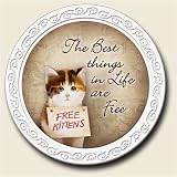 Scentiment Coaster with saying ~ Best Things in Life ~ vanilla aroma ~ gift bag and easel