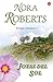 Joyas del sol / Jewels of the Sun (Trilogia Irlandesa) (Trilog-A Irlandesa) (Spanish Edition)