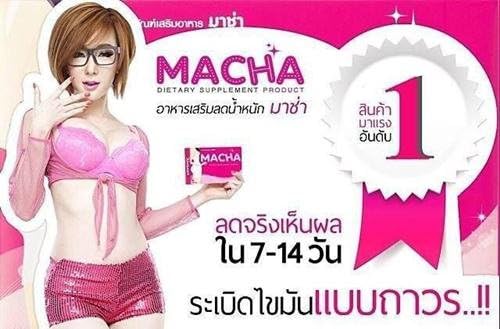 Macha Dietary Supplement Product Natural Extracts 100%