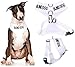 Blind Dog (Dog Has Limited/No Sight) White Color Coded Non-Pull Front and Back D Ring Padded and Waterproof Vest Dog Harness Prevents Accidents by Warning Others of Your Dog in Advance (L)