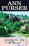 Sorrow on Sunday (Lois Meade Mysteries (Hardcover))