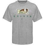 Nike Siena Saints Ash Stacked Lettering T-shirt
