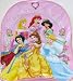 Dinsey Princess Backpack PRETTY PINK Cinderella, Snow White, Sleeping Beauty, Belle, Jasmine, Ariel
