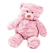 Summer Infant Momies Melodies Gund Bear, Pink