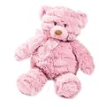 Summer Infant Momies Melodies Gund Bear, Pink