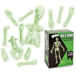 Glow Box o Bones Skeleton