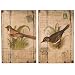 Wilco Imports Set of Two Distressed Wooden Bird Wall Art, 12-Inch by -3/4-Inch by 18-Inch