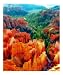 Hues of the Hoodoos in Bryce Canyon National Park Emerging Artists Photographic Poste...