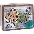 Puzzle Tin - Birds of Prey 550pc