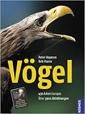 Produkt-Bild: V&ouml;gel: 430 Arten Europas
