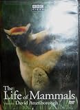 The Life of Mammals