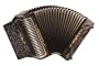 Hohner Corona Xtreme II 34-Button Accordion, FBbEb, Black Pearl