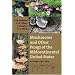 Mushrooms and Other Fungi of the Midcontinental United States (Bur Oak Guide)