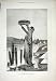 Le Roux Pall Mall France Vestal Tuccia Old Print 1878