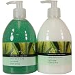 Green Tea and Aloe Combo- Exfoliating Liquid Anti-Bacterial Soap and Rich Moisturizing Hand Lotion, each 500 ml 17 fl oz- Asquith & Somerset, England