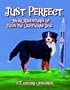 Just Perfect: More Adventures of Jules the Lighthouse Dog