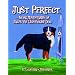 Just Perfect: More Adventures of Jules the Lighthouse Dog