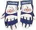 Aramis Ramirez Chicago Cubs Autographed Game Used Easton White Batting Glove