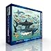 Sharks Jigsaw Puzzle 1000pc