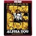 Alpha Dog - T�dliche Freundschaften (inkl. 10 Minuten Musik-Video) [HD DVD]