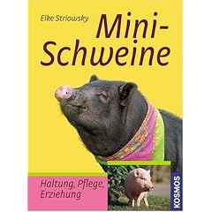 Minischweine: Haltung, Pflege, Erziehung