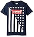 Levi's Boys' Levis Americana Graphic Tee