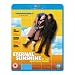 Eternal Sunshine of the Spotless Mind [Blu-ray]