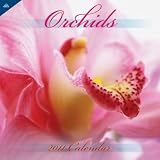 2011 Orchids Calendar