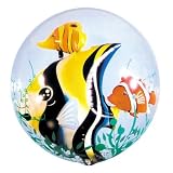 51cMvKiYXYL. SL160  Buy Tropical Fish Supplies