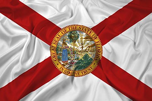 Extremely High Quality Florida Flag (4x6)