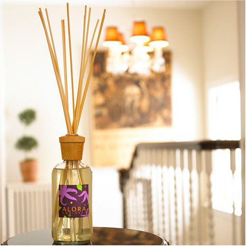 Alora Ambiance BELLA Reed Diffuser - 16oz