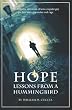 Hope, Lessons from a Hummingbird: A Redemptive Adventure of how a regular guy got free from depression and rage
