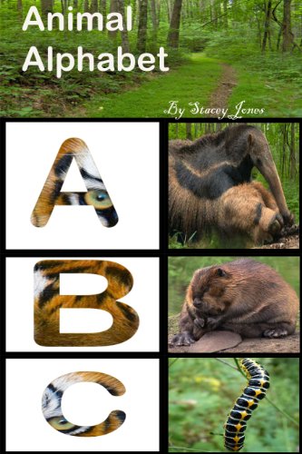 Animal Alphabet