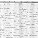 Spanish Vocabulary Shower Curtain