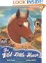 The Wild Little Horse