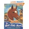 The Wild Little Horse