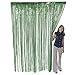 Fun Express - Green Metallic Fringe Curtain for Party - Party Decor - Door Decor - Door Borders & Curtains - Party - 1 Piece