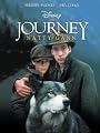 play video on Amazon Instant Video