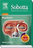Sobotta - Spielend durch die Anatomie 2. Muskeln