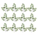 ONE Dozen (12 pieces) of 21" Artificial Oriental Ficus Sprays
