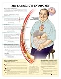 Metabolic Syndrome Anatomical Chart Laminated